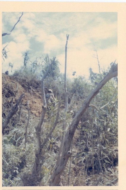 Image-10 (1)