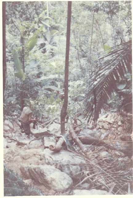 Image-3 (1)