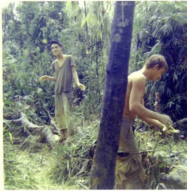 Image-5 (1)