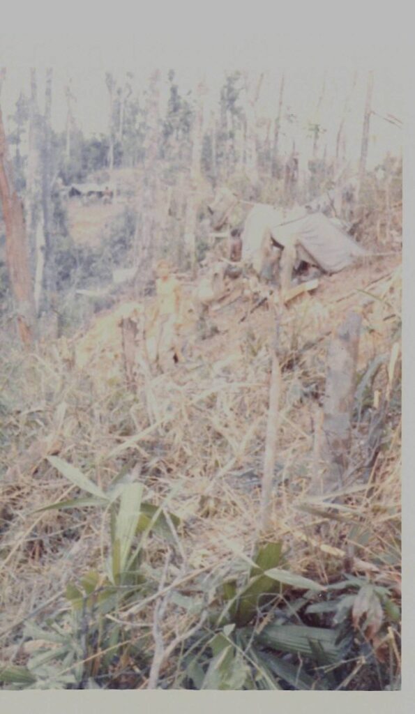 Image-9 (1)